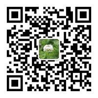 胡林峰研究小组