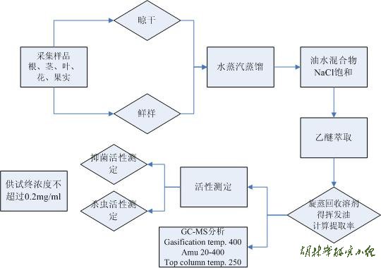 挥发油提取分析一般流程