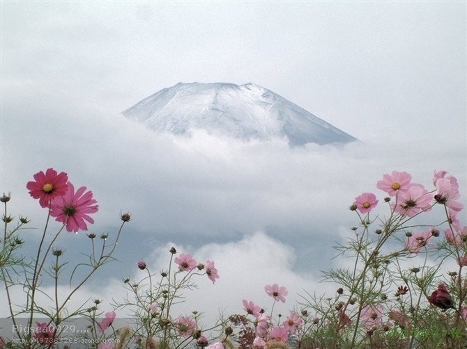 Word--善用修订功能