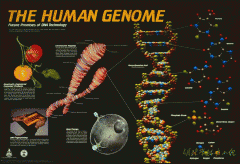 生物信息学札记（第3版）