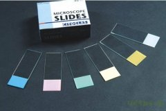 载玻片装片法制作