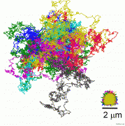 植物病毒病检测方法