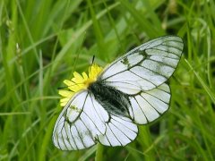 <b><font color='#000099'>What makes a good PhD student</font></b>