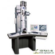 生物材料透射电镜样品制备方法