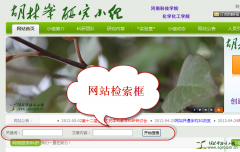 <font color='#0000FF'>网站添加搜索功能</font>