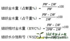 植物组织含水量的测定