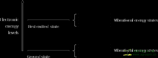 Electronic and vibrational energy levels of a molecule