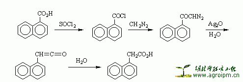 Arndt_Eister3.GIF (2266 字节)