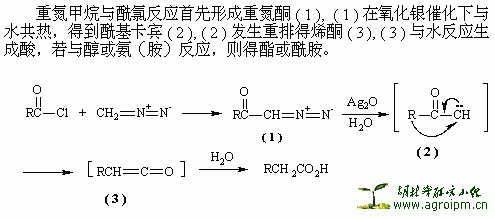 Arndt_Eister2.GIF (3997 字节)