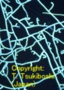 About Thanatephorus cucumeris