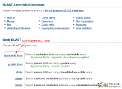 NCBI在线Blast图文说明