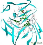 Discovery Studio在化合物反向找靶领域的解决方案