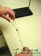 Column Chromatography