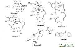 <b>读懂天然产物系列——共生菌</b>