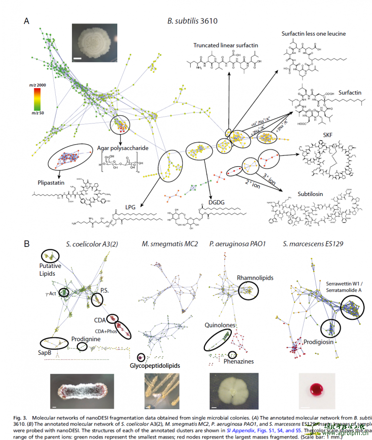 <b>读懂天然产物系列——“眼观全局，谱谋一域”</b>