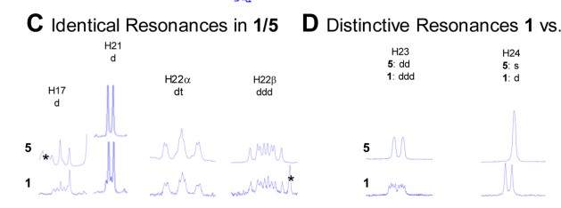 《读懂天然产物系列》-30 - HiFSA究竟知多少?-11