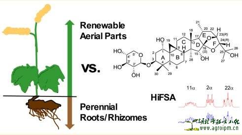 《读懂天然产物系列》-30 - HiFSA究竟知多少?-6
