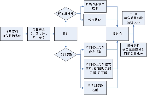 植物样品初测流程