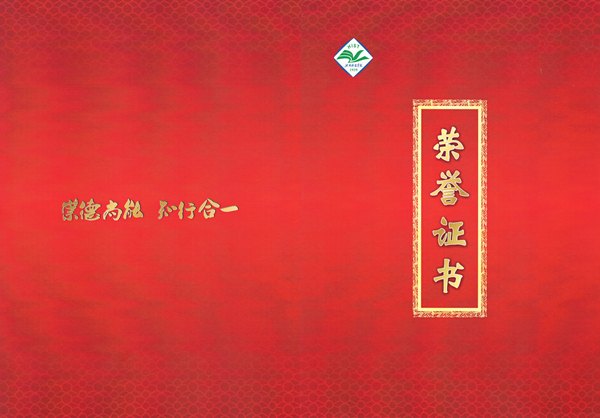 富鸿鼎杯大学生创业大赛优秀奖