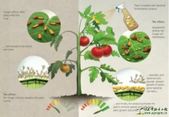 全球生物农药发展现状报告