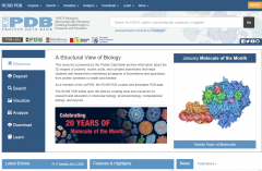 PDB蛋白质结构数据库