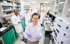 Antibacterial and NF-κB Inhibitory Lumazine Peptides, Aspoch