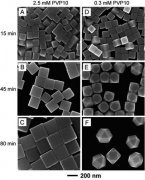 Quantitative Analysis of the Role Played by Poly(vi