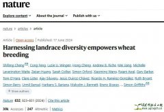 Harnessing landrace diversity empowers wheat breeding
