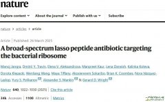 A broad-spectrum lasso peptide antibiotic targeting the bact