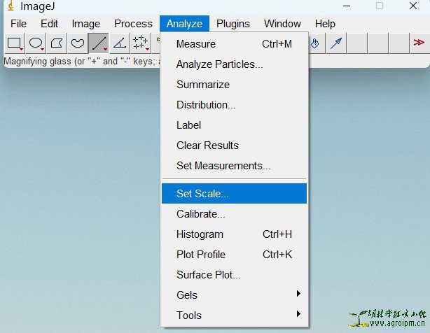 ImageJ给图片标注标尺