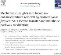 Mechanistic Insights into Fucoidan-Enhanced Nitrate Removal